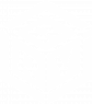 RRV International